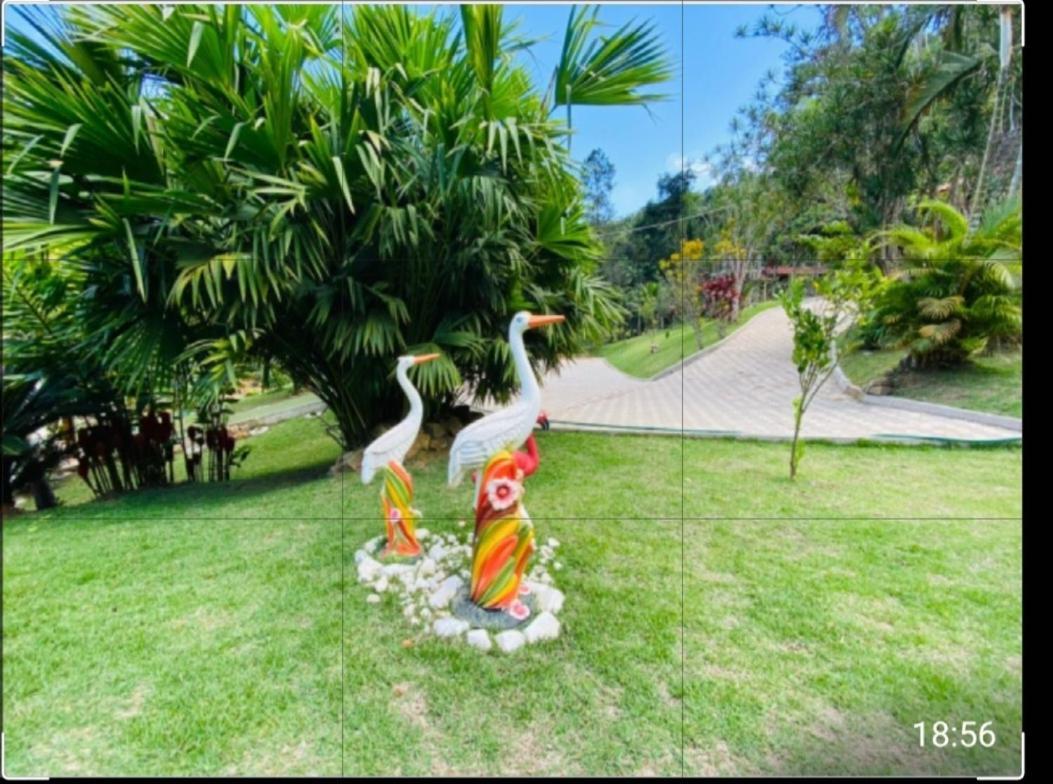 Lindo Sitio Em Domingos Martins Exterior foto